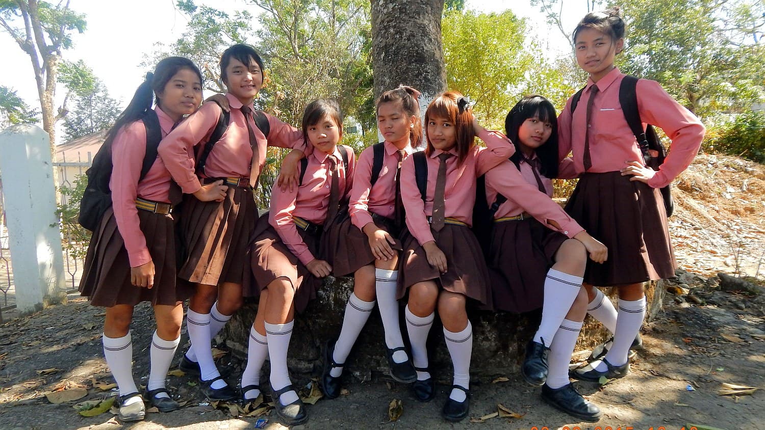 Key Benefits of Partnering with Professional Vehicle Rental Services