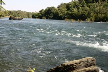 Distance from Bangalore to Dandeli