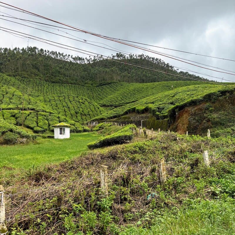 Which Are the Most Scenic Routes and Stops on the Way?