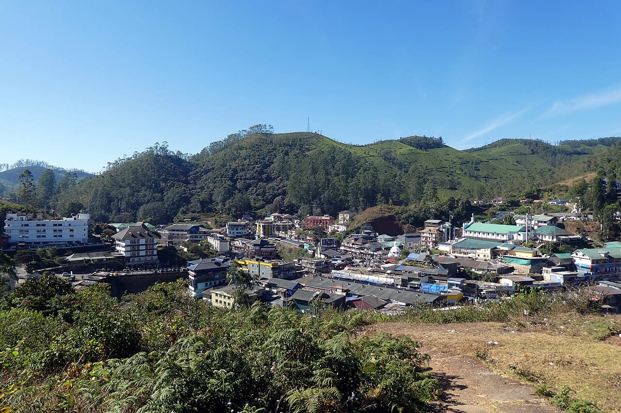 When Is the Best Time to Visit Munnar?